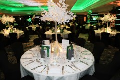 Stpatricks-2025-Festival-Ball-12